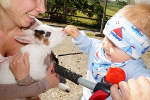 die kleine Ziege schnuppert hi hi