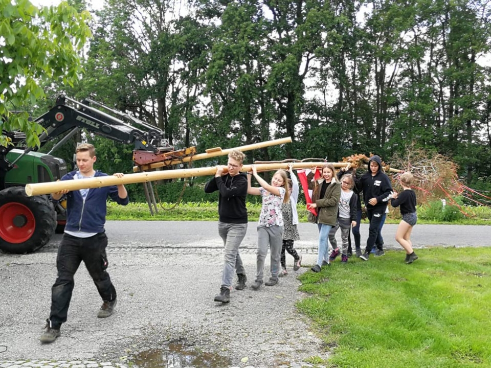 Der Maibaum wird gemeinsam umgelegt