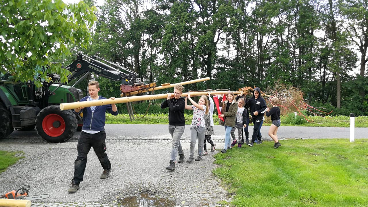 Der Maibaum wird gemeinsam umgelegt